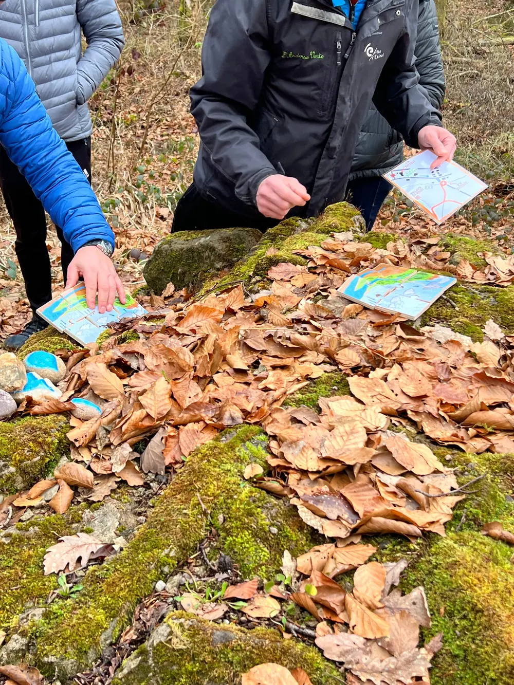 Participants assemblant des puzzles et des cartes posés sur la mousse en extérieur