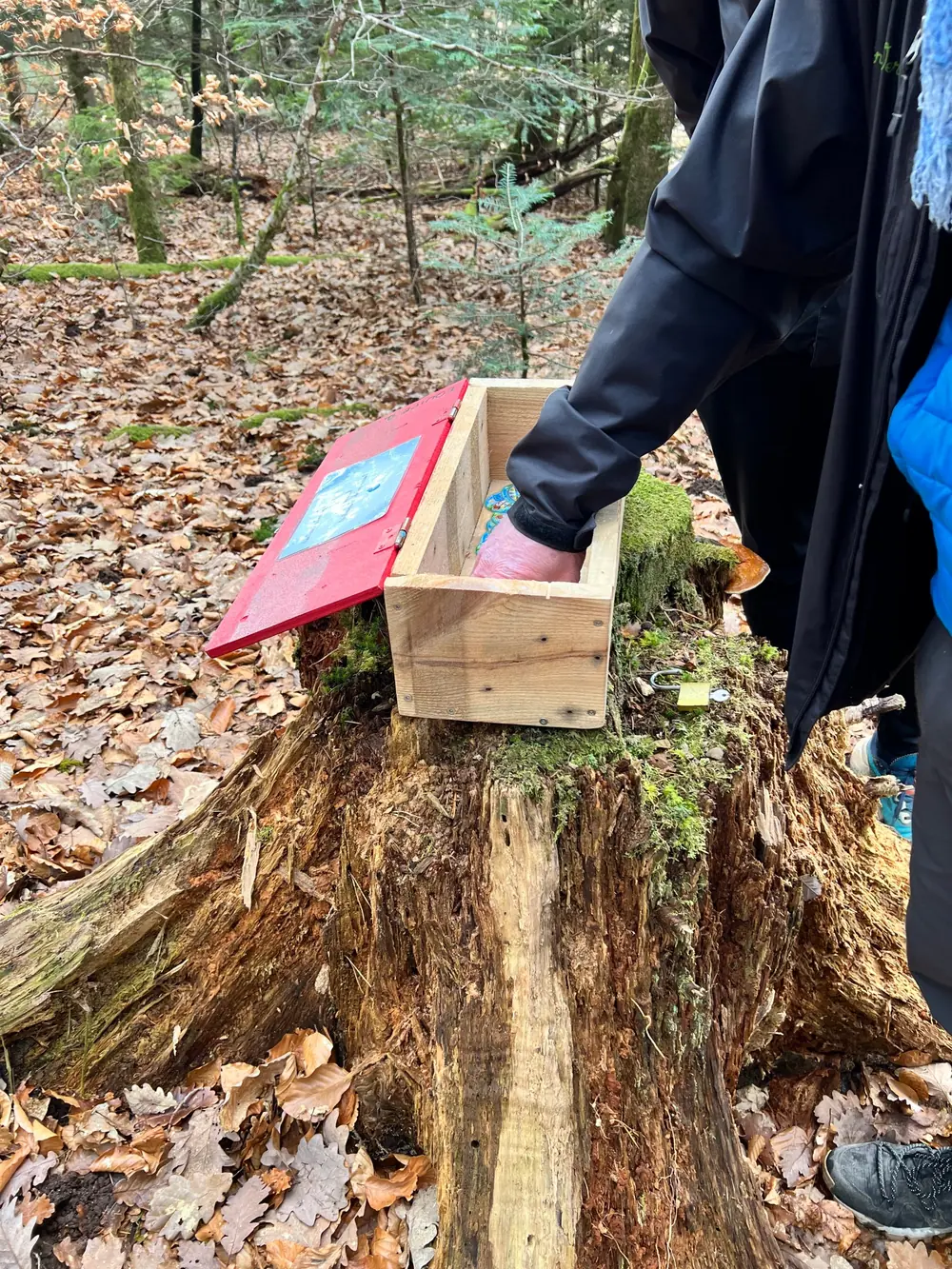 Coffre en bois ouvert sur une souche en forêt pendant un escape game pédagogique